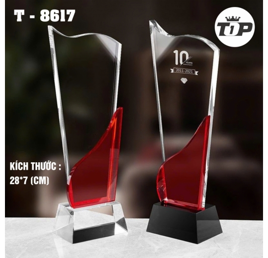 Cúp thiết kế Tiktok Award 2024 CTR102